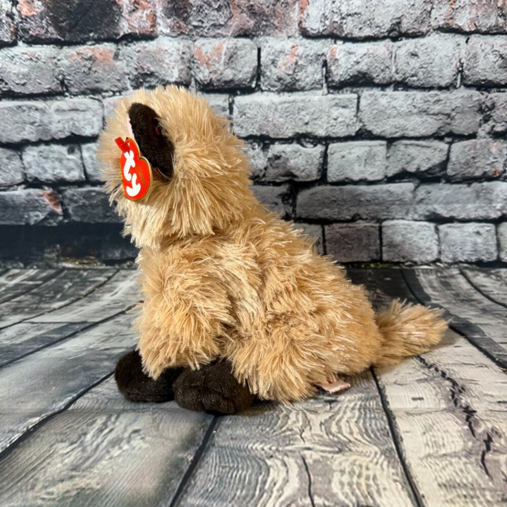 Vintage Ty Classic Beanie Babies 2005 "Cassidy" the Cat 8" Plush Toy - MWMT - Picture 3 of 12